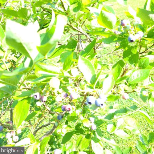 1139 Wilson Ave, Glen Mills PA  19342-9610 exterior