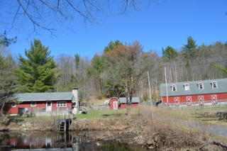 550 Pike Brook Rd, Clemons, NY 12819-1910