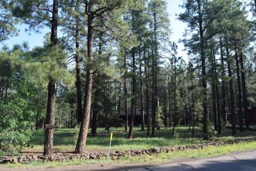2485 Black Bear Ln, Pinetop, AZ 85935-8295