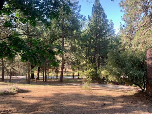 2020 Combie Rd, Meadow Vista, CA 95722-9442