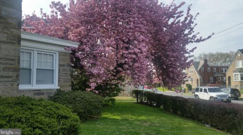 1536 Longshore Ave, Philadelphia, PA 19149-1741