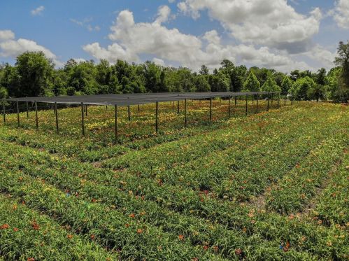 1240 Enterprise Osteen Rd, Deltona FL  32725-9401 exterior