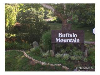 10 Quinn Ct, Asheville, NC 28805-9756