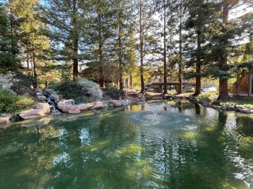 3310 La Terrace Cir, San Jose CA 95123-5323 exterior