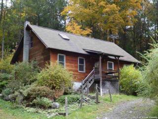 195 Stony Clove Ln, Chichester, NY 12416-5121