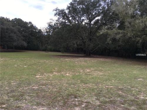 24410 Wolf Branch Rd, Mount Plymouth, FL 32776-9534