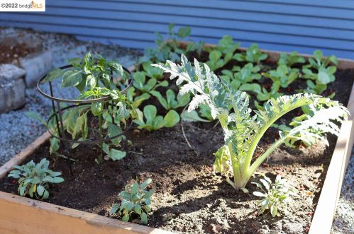 4215 Glen Ave, Oakland CA  94611-4349 exterior