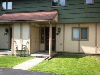 35 Alpine Mdws, Ellicottville, NY 14731-9771