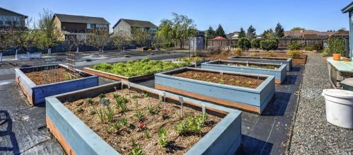 1838 Alan Dr, Penngrove CA  94951-9735 exterior