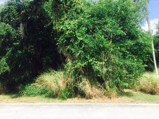 3585 Belle Arbor Cir, Titusville FL  32780-5593 exterior