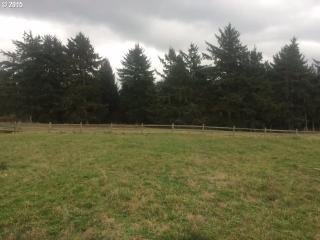 4587 Drummond Ct, Jewell, OR 97138-1113