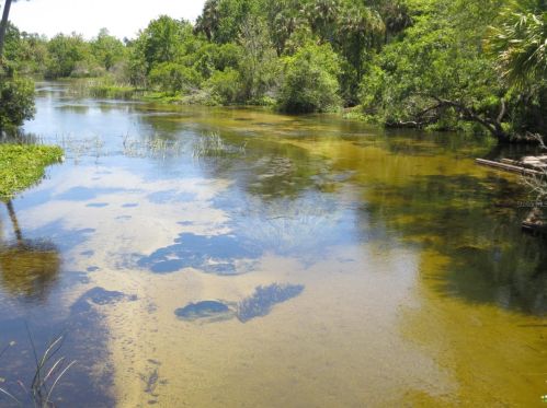 749 130th Terrace Rd, Silver Springs FL  34488-3528 exterior