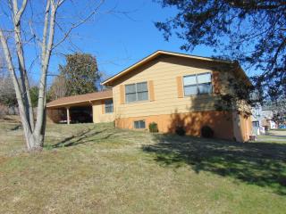 253 Wierwood Dr, Jacksboro, TN 37757-2611
