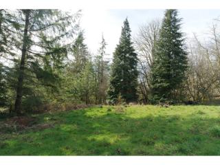 3701 Mount Pleasant Rd, Kelso WA  98626-9247 exterior