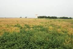 1571 134th Ave, Alleman, IA 50007-9720