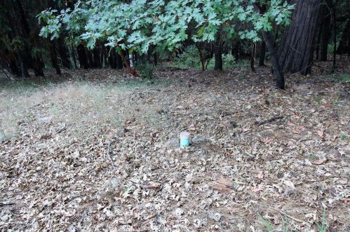 5261 Shooting Star Rd, Pacific House CA  95726-9001 exterior