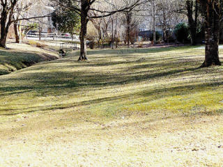 1111 Cole Ln, Gatlinburg TN  37738-5429 exterior