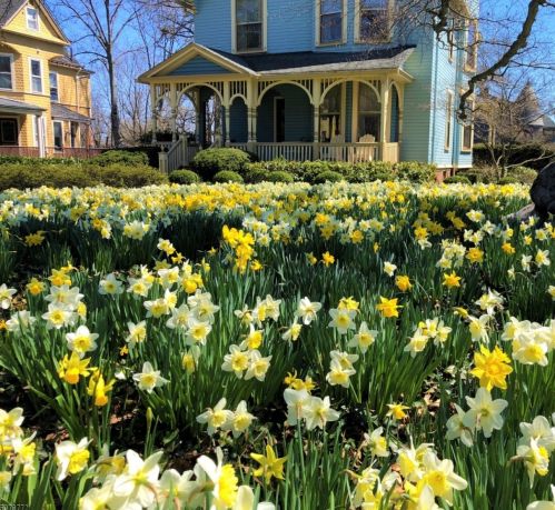 101 Hillside Ave, Glen Ridge, NJ 07028-2218