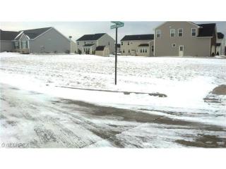 1464 Brentfield Dr, Wadsworth, OH 44281-6200