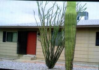 649 6th St, Why, AZ 85321-1616