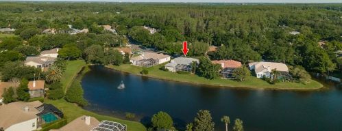 4655 Bardsdale Dr, Palm Harbor, FL 34685-2604