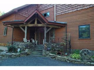 46 Steges Rd, Eldred, NY 12732-5014