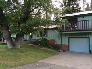 2114 Chandler Rd, Spanish Ranch, CA 95971-9668