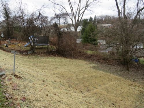 4607 Clubvue Dr, Pittsburgh PA  15236-4803 exterior