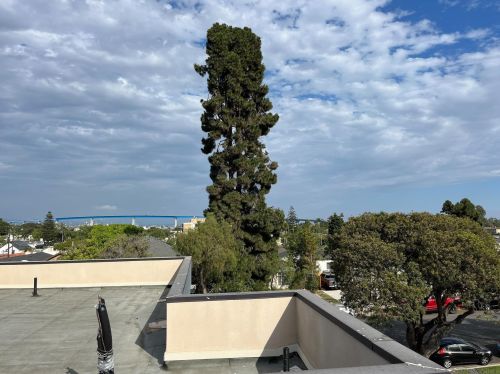 256 B Ave, San Diego CA  92118-1954 exterior