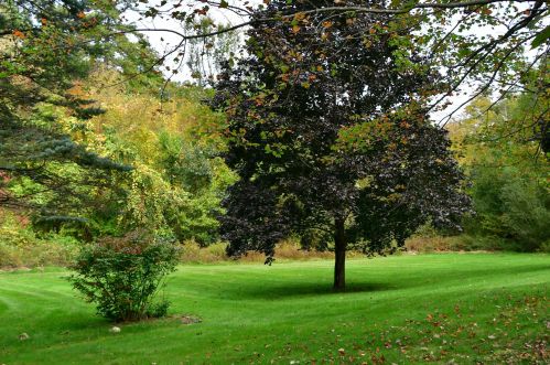 11 Deer Hollow Rd, Plaistow NH  03865-2119 exterior