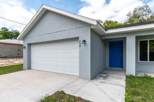 234 Malauka Loop, Ocklawaha, FL 32179-0064