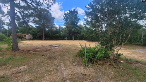 1144 Brown Blvd, Lexington SC  29073-8973 exterior