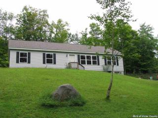 119 Jomar Ln, Olive, NY 12461-5133