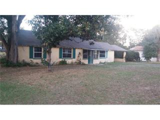 143 Dicie Ave, Eustis, FL 32726-6311