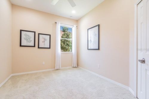 11156 Belle Hvn Dr, New Port Richey FL 34654-4491 exterior