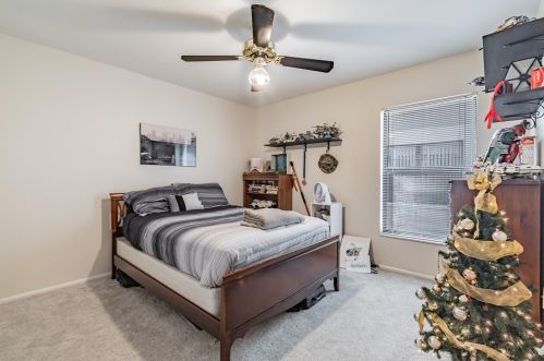 3664 Darston St, Palm Harbor FL  34685-1182 exterior