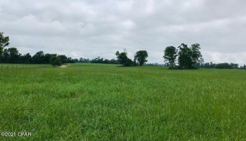 5224 Blue Springs Rd, Marianna FL  32446-6429 exterior