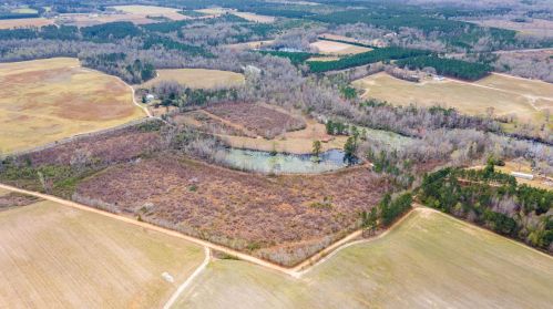 1420 Baltic Rd, Blackville SC  29817-3637 exterior