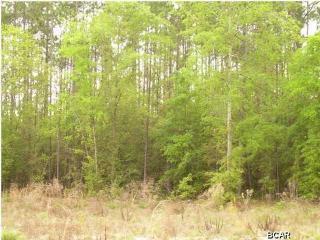 12118 Glenwood Dr, Fountain, FL 32438-4650