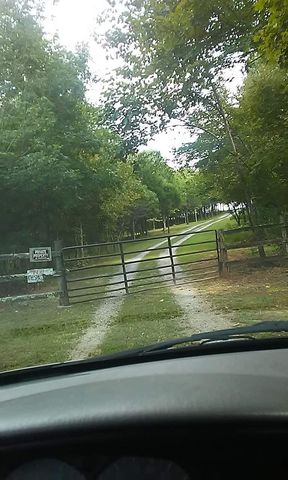 473 Billy Sparks Rd, Goodluck, KY 42129