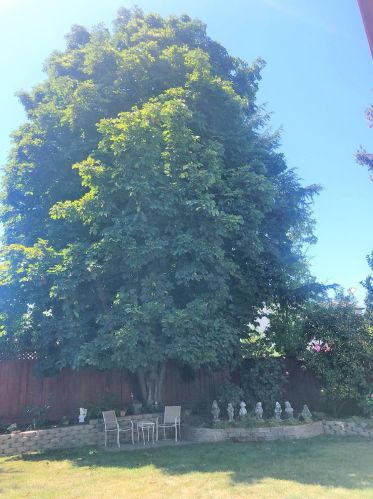 5286 Turnberry Pl, San Jose, CA 95136-2858