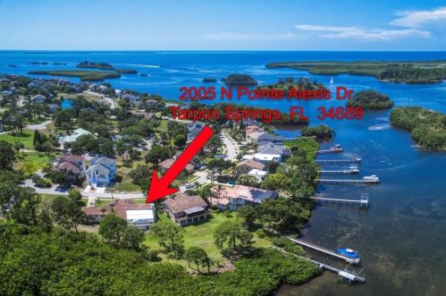 2005 Pointe Alexis Dr, Tarpon Springs, FL 34689-2049