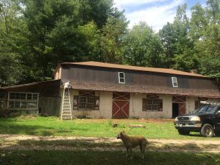 246 Northwood Dr, Clyde, NC 28721-9482