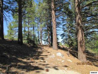 1165 Sky Tavern Rd, Reno, NV 89511-1798