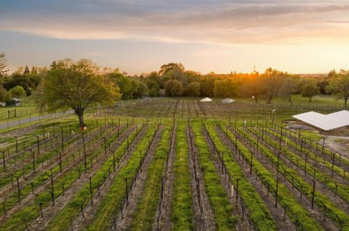 4199 Laird Rd, Loomis CA  95650-8906 exterior