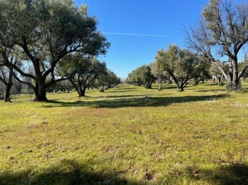 50 District Center Dr, Oroville, CA 95966-9383