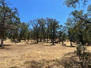 6321 Upper Palermo Rd, Oroville CA  95966-9017 exterior