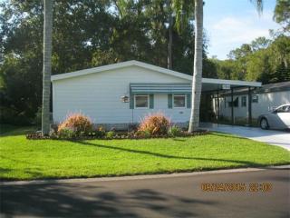 2909 Myakka River Rd, Tavares, FL 32778-5150