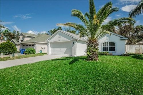 2736 Big Pine Dr, Tarpon Springs, FL 34691-8763