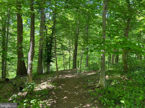 2325 42nd St, Washington DC 20007-4941 exterior